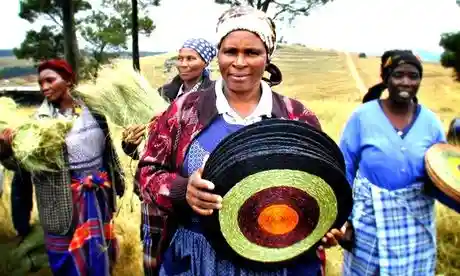 Photo: Weavers using sustainable natural grasses in Swaziland. Credit: Nest
